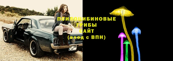 гидра Алексеевка