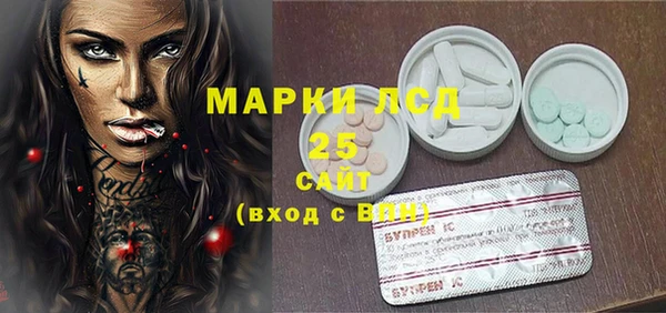 ПСИЛОЦИБИНОВЫЕ ГРИБЫ Алзамай