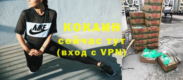 гидра Алексеевка