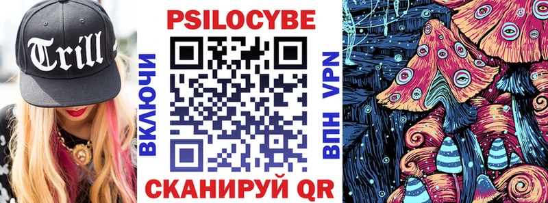 Галлюциногенные грибы Psilocybe цены Звенигово